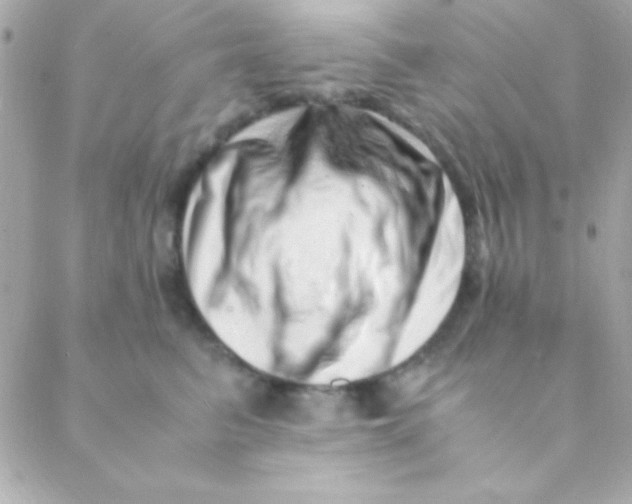 X0000088660615200706152034