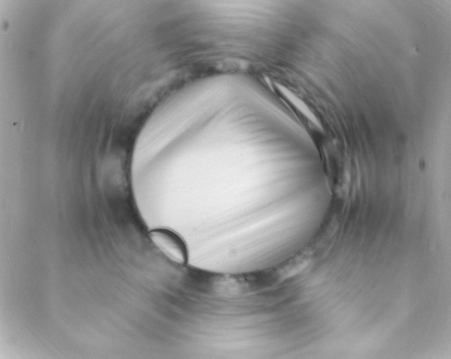 X0000088660616200706152034