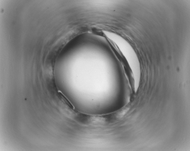 X0000088660617200706152034