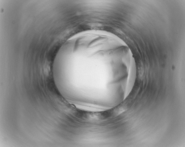 X0000088660618200706152034