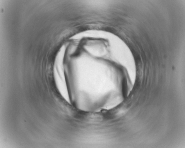 X0000088660619200706152034