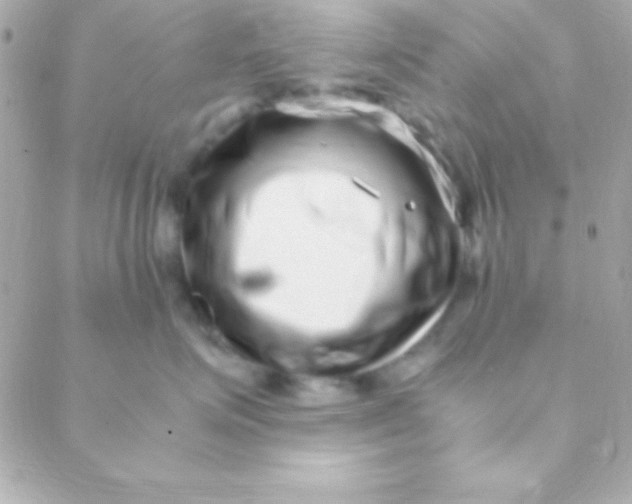 X0000088660623200706152034