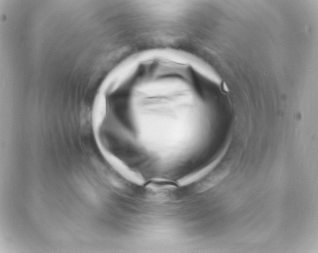 X0000088660624200706152034
