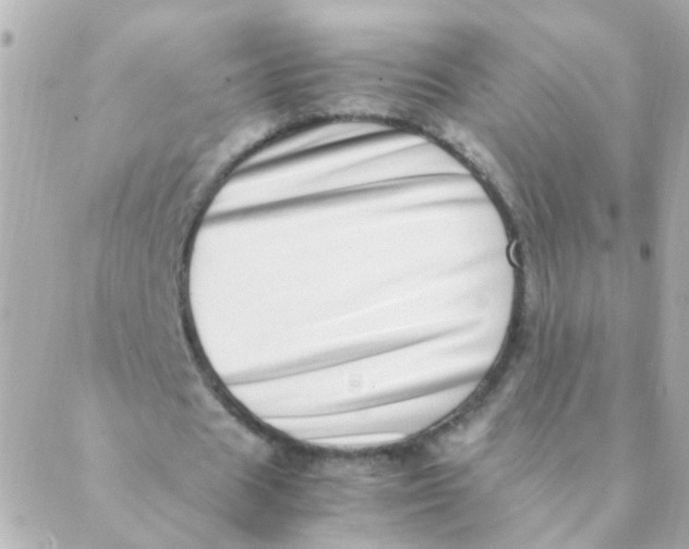 X0000088660625200706152033