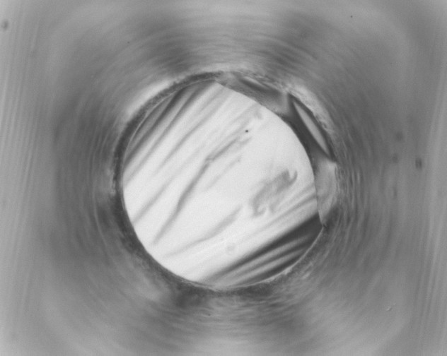 X0000088660628200706152033