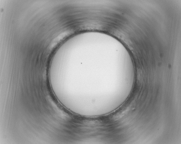 X0000088660629200706152033