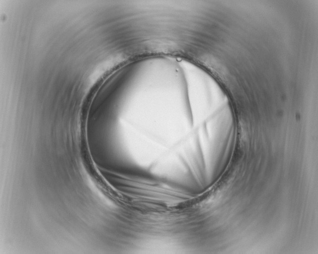 X0000088660630200706152033