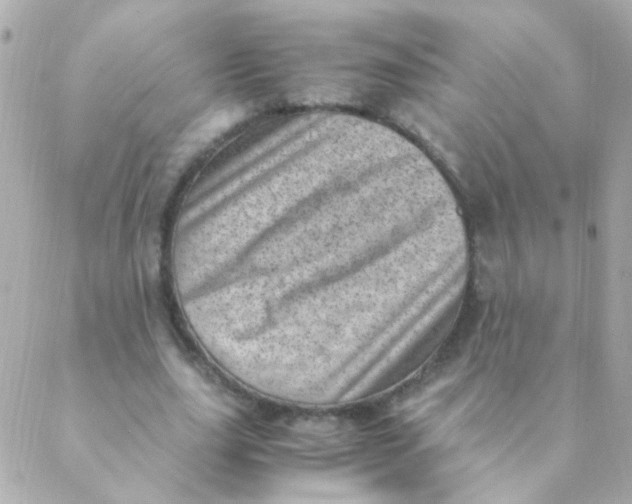 X0000088660631200706152033