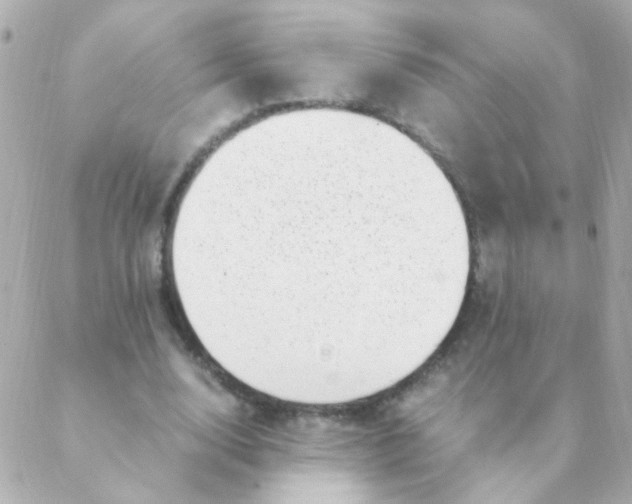 X0000088660632200706152033