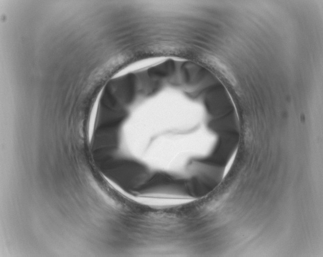 X0000088660633200706152033