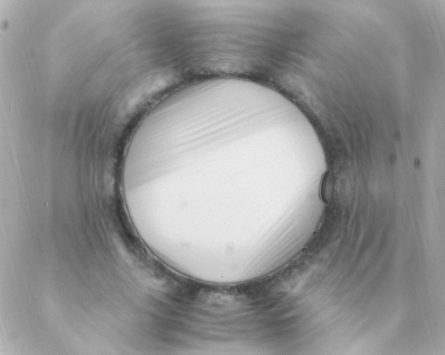 X0000088660635200706152033