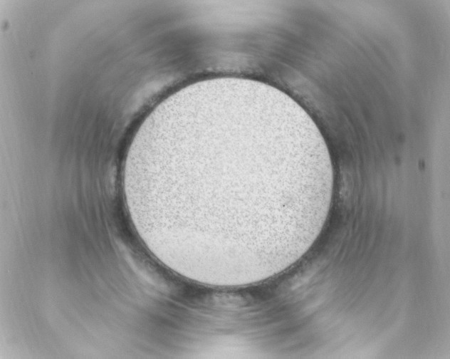 X0000088660636200706152033