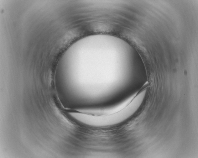 X0000088660637200706152033
