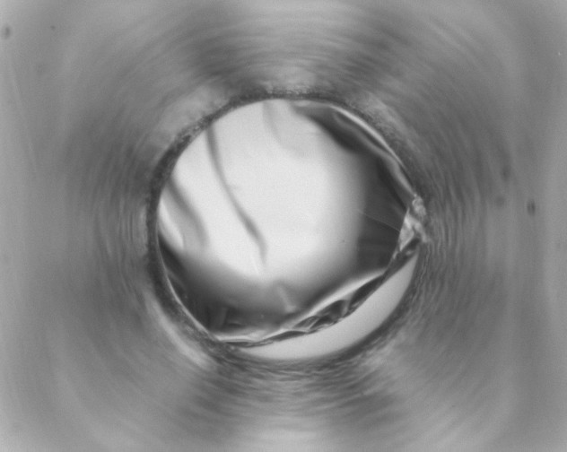 X0000088660638200706152033