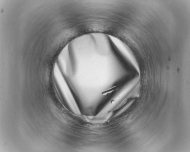 X0000088660639200706152033