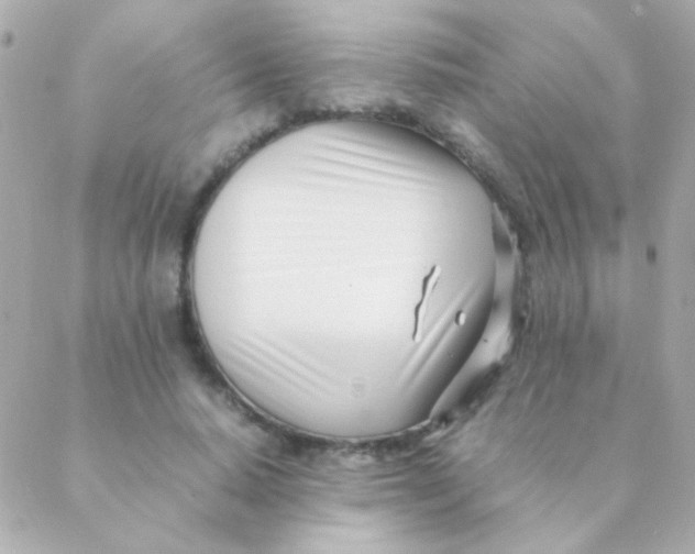 X0000088660640200706152033