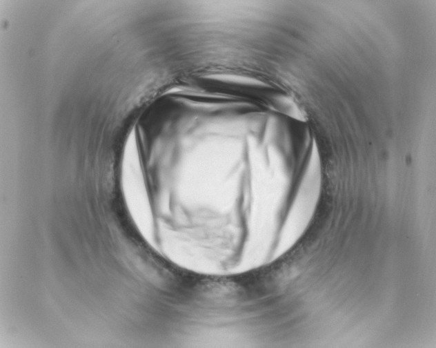 X0000088660642200706152033