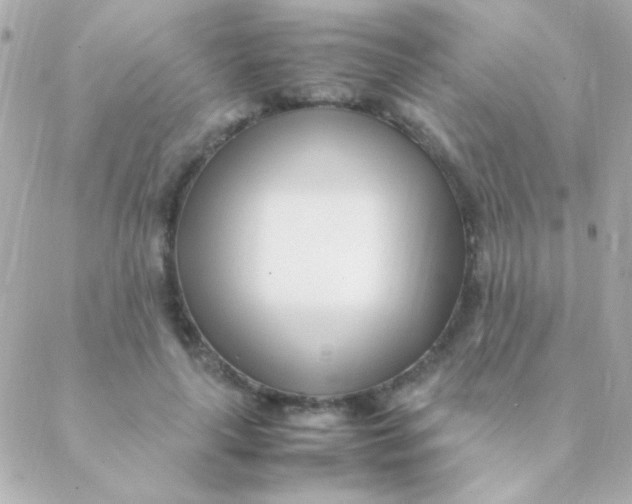 X0000088660643200706152033