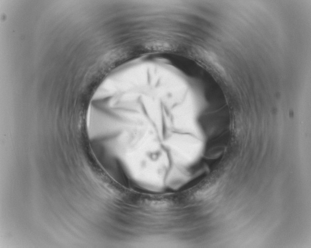 X0000088660645200706152033