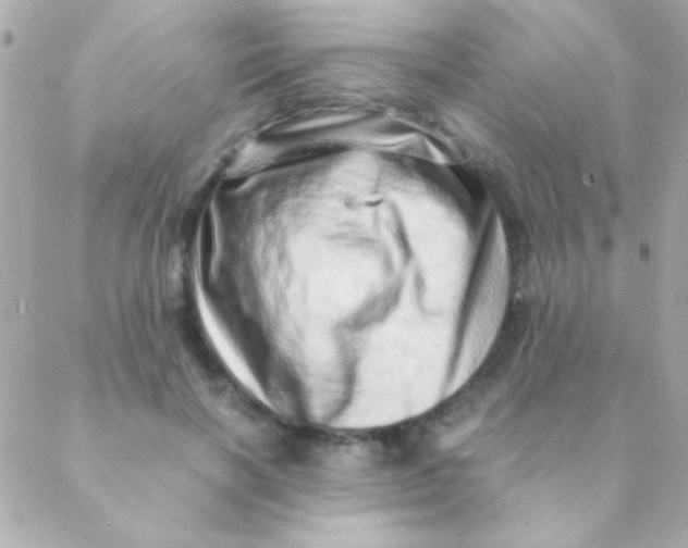 X0000088660646200706152033