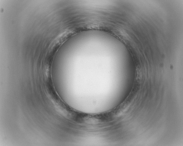 X0000088660648200706152033