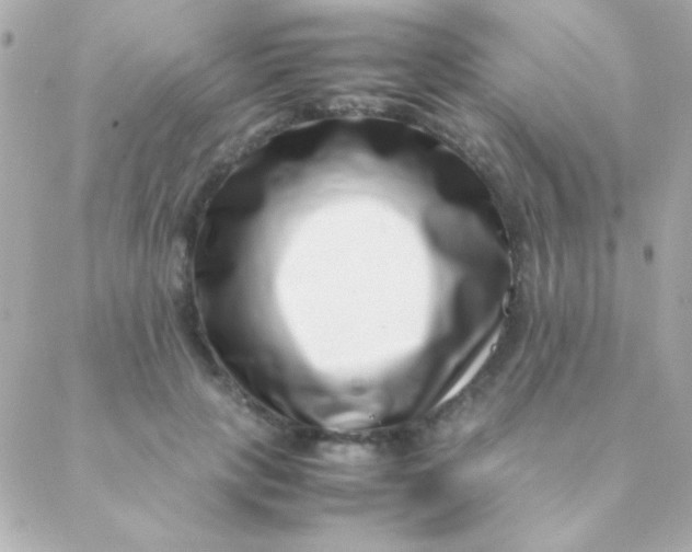 X0000088660649200706152033