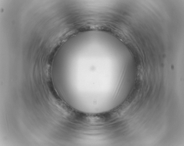 X0000088660650200706152033