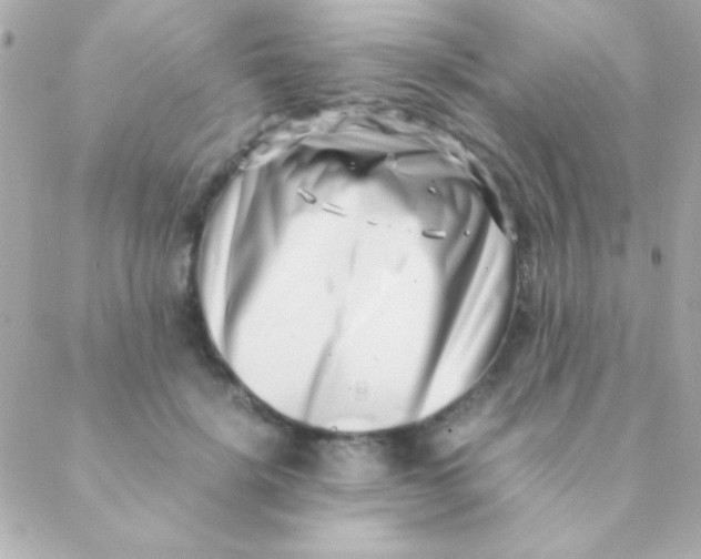 X0000088660652200706152034
