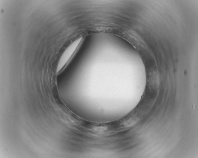 X0000088660653200706152034