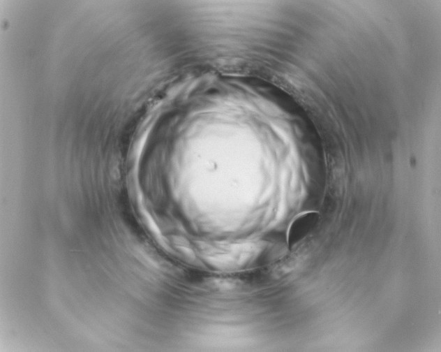 X0000088660654200706152034