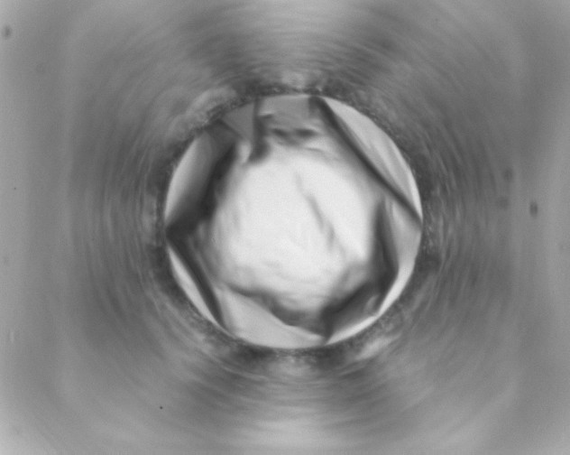 X0000088660656200706152034