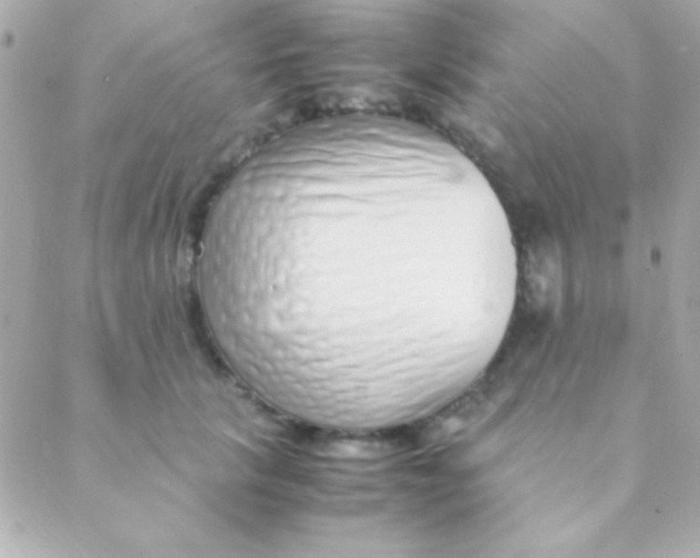 X0000088660657200706152034