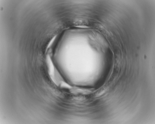 X0000088660659200706152034