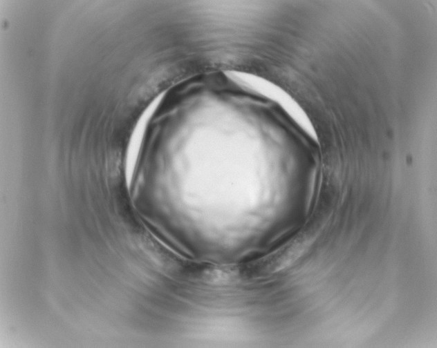 X0000088660660200706152034