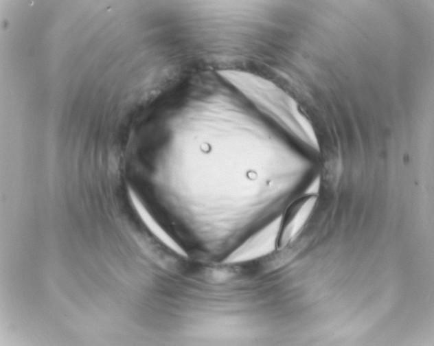 X0000088660662200706152034