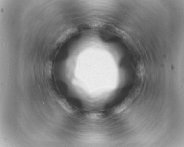 X0000088660664200706152034