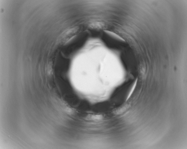 X0000088660665200706152034