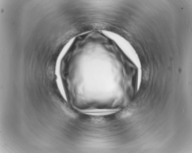 X0000088660666200706152034