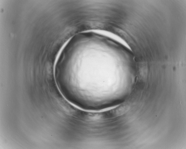 X0000088660667200706152034
