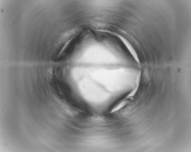 X0000088660668200706152034