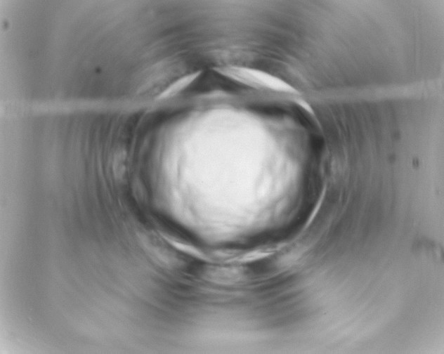 X0000088660671200706152034