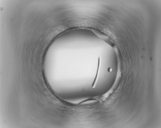 X0000088660673200706152033