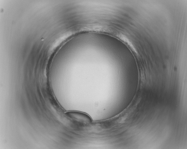 X0000088660674200706152033