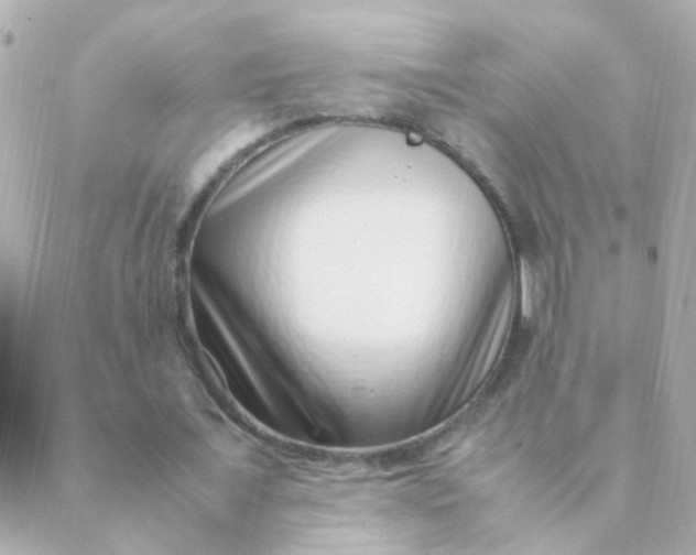 X0000088660675200706152033