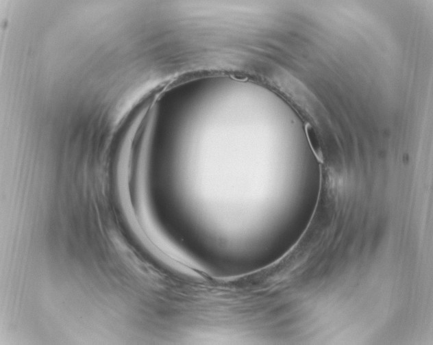 X0000088660676200706152033