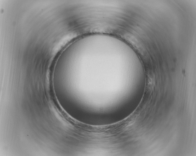 X0000088660678200706152033