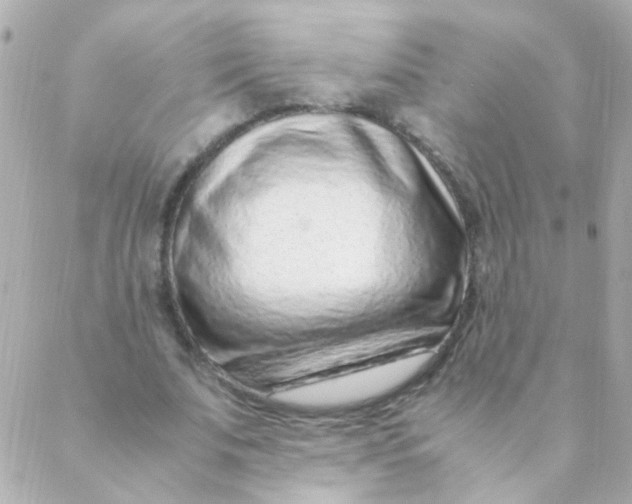 X0000088660679200706152033