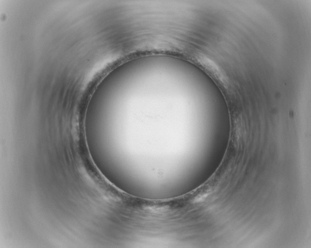 X0000088660680200706152033