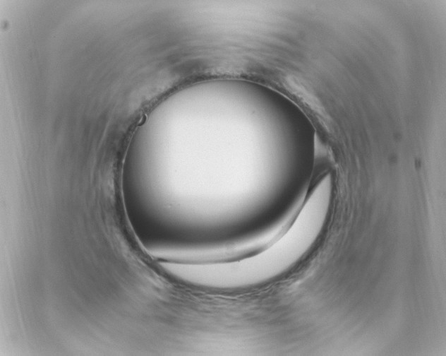 X0000088660681200706152033