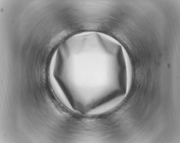 X0000088660682200706152033
